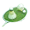 Badminton