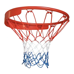 Delta DBN983 Renkli Basketbol Filesi