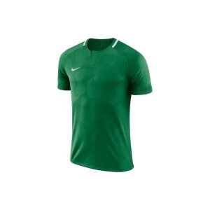 Nike 893964 M Nk Dry Chalng Iı Jsy Ss Erkek Tshirt YEŞİL - XXL